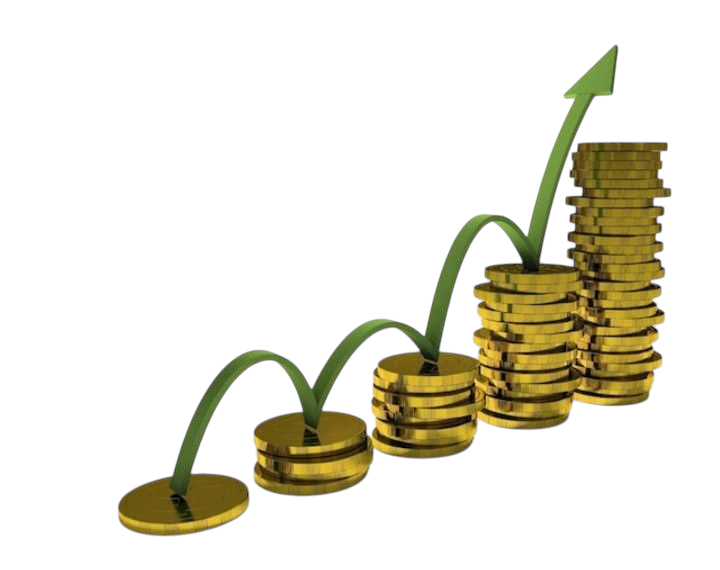 Capital en croissance avec Kiwigp